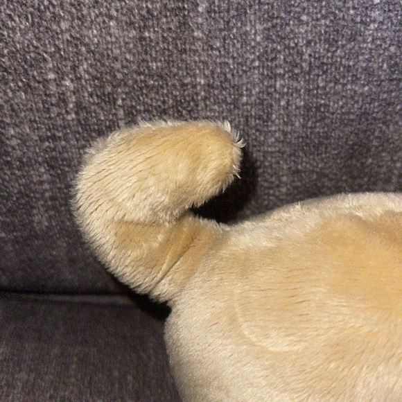 WEBKINZ Ganz CHIHUAHUA HM104 hang & but Tag No Code plush stuffed animal - Picture 7 of 14